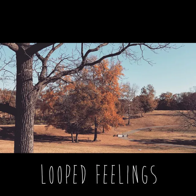 Looped Feelings