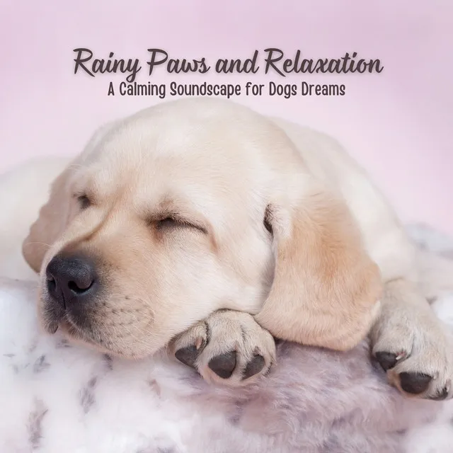 Rainy Paws and Relaxation: A Calming Soundscape for Dogs Dreams