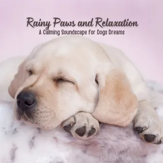 Rainy Paws and Relaxation: A Calming Soundscape for Dogs Dreams by Sleep Doggie