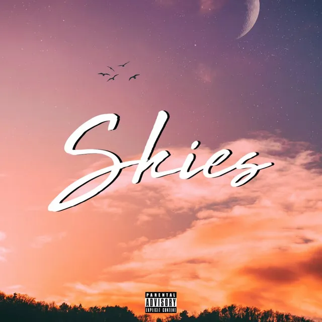 Skies