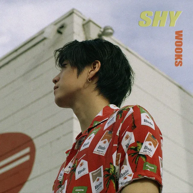 Shy (feat. Artinb)