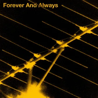 Forever and Always by Rob Robinson