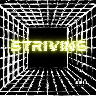 Striving by Ryan Luc