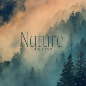 Nature Sounds – Ease Your Mind With Forest And Jungle Sounds by Autonomous Sensations