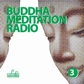 Buddha Meditation Radio, Vol. 3 (Relaxation and Wellness Music) by Andy Bruno