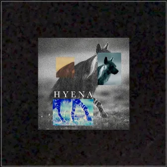 HYENA by BABYLON MAYNE