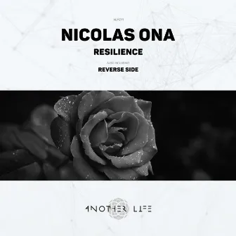 Resilience by 