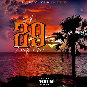 29 by Ace