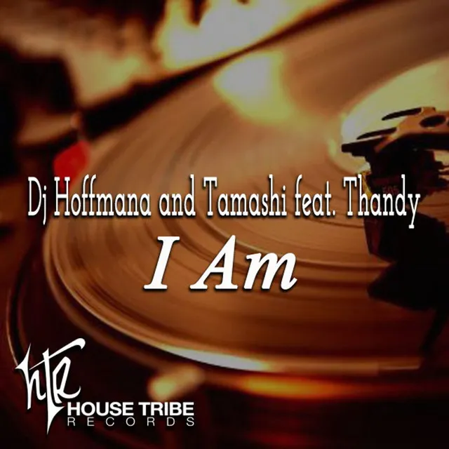 I Am (feat. Thandy) - DJ Hoffmana Afro Guitar Dub Mix