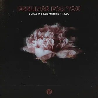 Feelings For You by Lee Morris