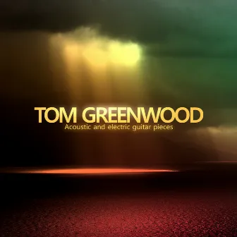 Acoustic and Electric Guitar Pieces by Tom Greenwood