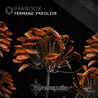 Paradox by Pakolive