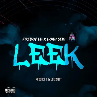 Leek by Fireboy LD