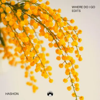 Where Do I Go Edits by Hashon