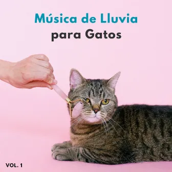 Música De Lluvia Para Gatos Vol. 1 by Última sinfonía de lluvia