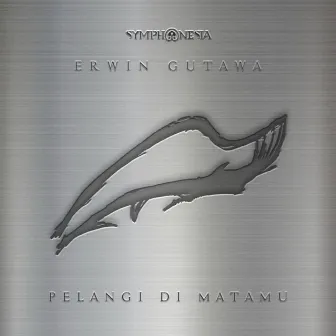 Pelangi Di Matamu by Erwin Gutawa