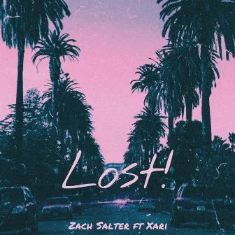 Lost! by Zach Salter