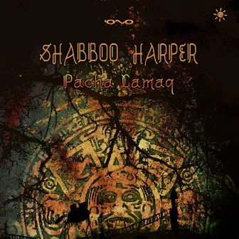 Pacha Camaq by Shabboo Harper