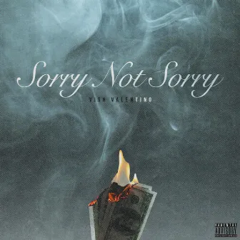 Sorry Not Sorry by Vish Valentino