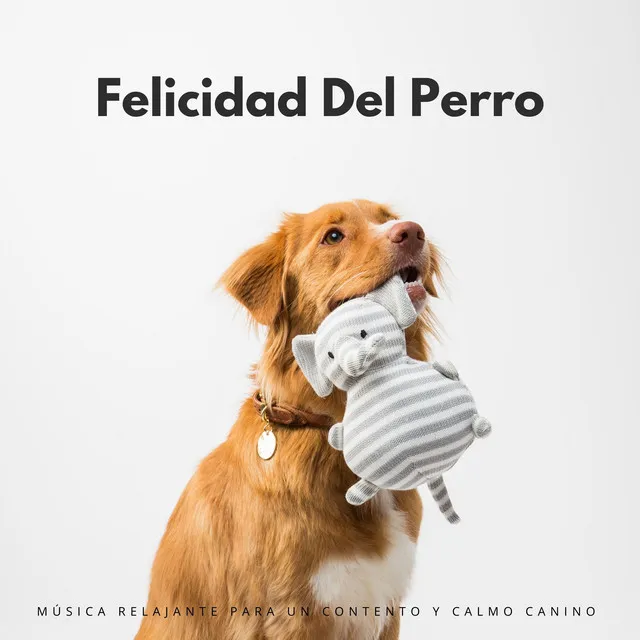 Canciones para que los perros duerman