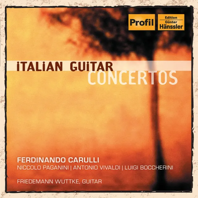 Chamber Concerto in D Major, RV 93 (arr. for guitar and orchestra): II. Largo