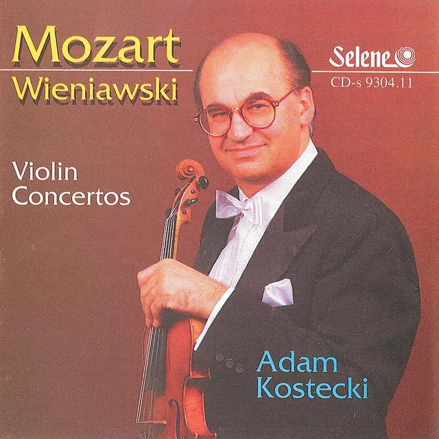 Violin Concerto No. 2 in D minor: Allegro moderato