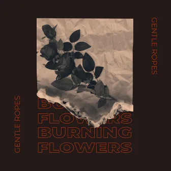 Burning Flowers by Gentle Ropes