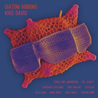 The Very Thing (feat. Esperanza Spalding, Tony Malaby, Trevor Dunn, Val Jeanty & Terri Lyne Carrington) by Kris Davis