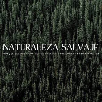 Naturaleza Salvaje: Bosque Sereno Y Sonidos De Pájaros Para Lograr La Paz Interior by Canciones de animales y pájaros