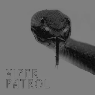 Transcendance by Viper Patrol