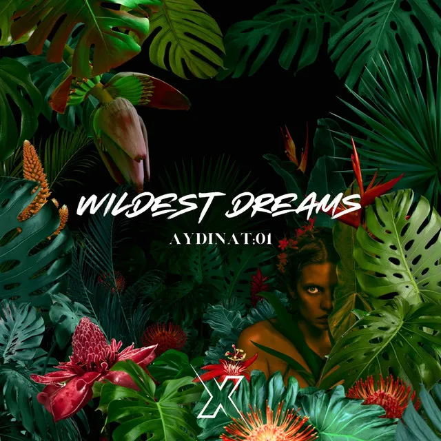 Wildest Dreams