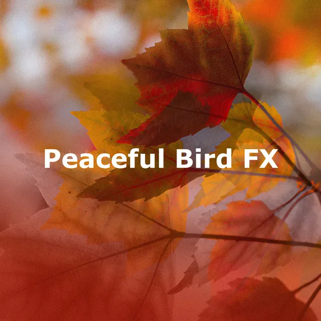 Peaceful Bird FX