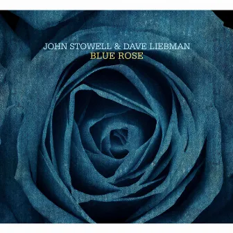 Blue Rose by John Stowell