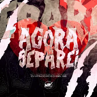 Agora Me Separei by Dj Biel Sb