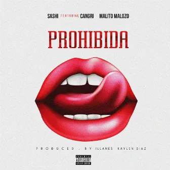 Prohibida by Sashi