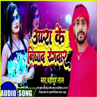 Aara Ke Nishad Rangdaar by Unknown Artist