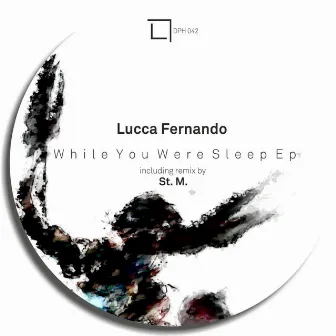 While You Were Sleep by Lucca Fernando