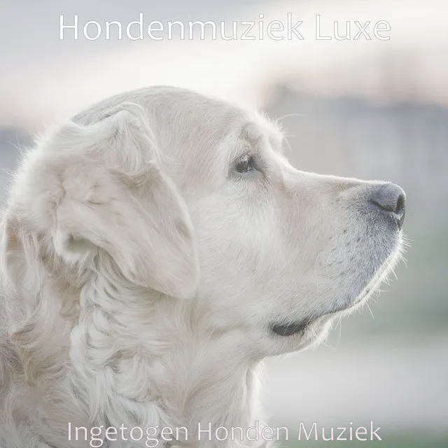 Vurig - Slapende Honden