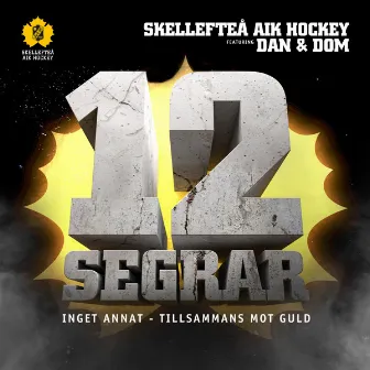 Kapten Ericsson (12 Segrar) by Skellefteå AIK Hockey