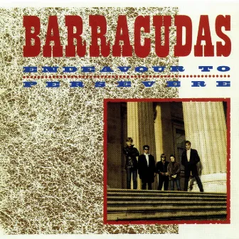 Endeavour To Persevere by The Barracudas