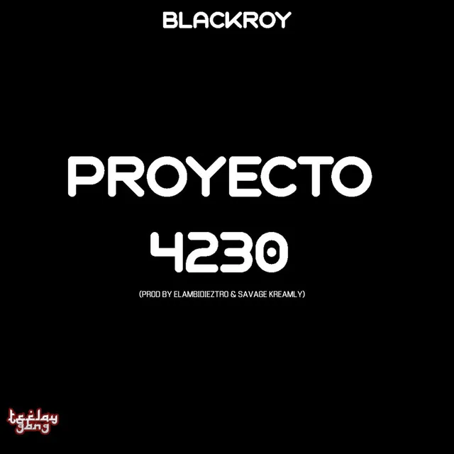 Proyecto 4230