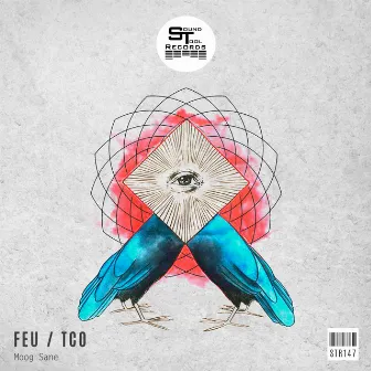 Feu / Tco by Moog Sane