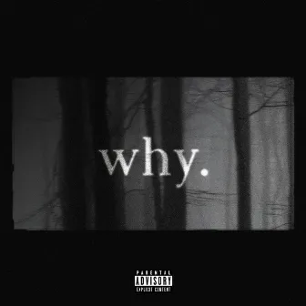 why. by Shvle