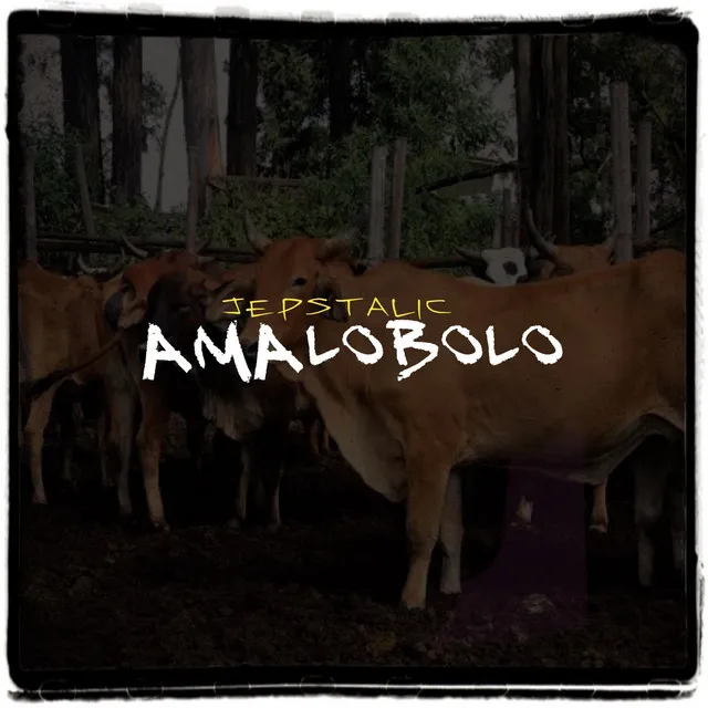 Amalobolo