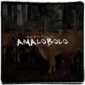 Amalobolo by Jepstalic