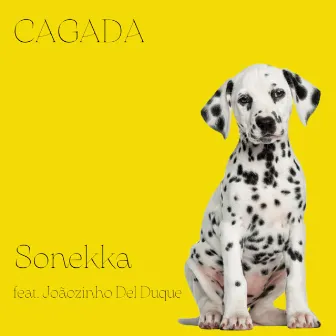 Cagada by Sonekka