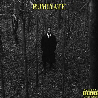 RUMINATE by Pete XM