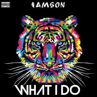 What I Do by Sam$on