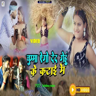 Chumma Ago Ded Gehu Ke Katai Mein by Unknown Artist