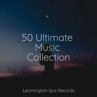 50 Ultimate Music Collection by Unknown Artist